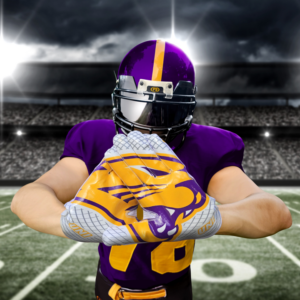 UNI University of Northern Iowa Panthers Football Gloves