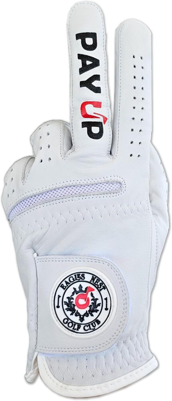 Pay Up Funny Golf Glove Main Image