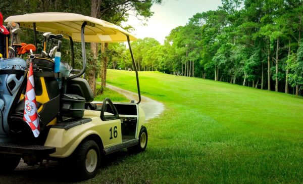 Eagles Nest Golf Towel on Golf Cart